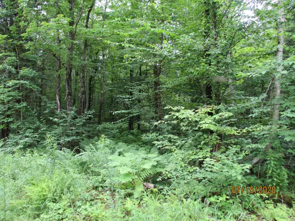 Peru, ME 04290,0 Dickvale RD