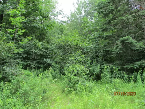 0 Dickvale RD, Peru, ME 04290