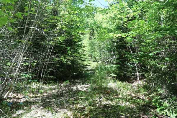 Surry, ME 04684,11 Sun Fish LN