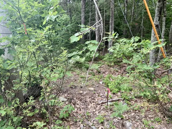 Orrington, ME 04474,0 Hoxie Hill RD