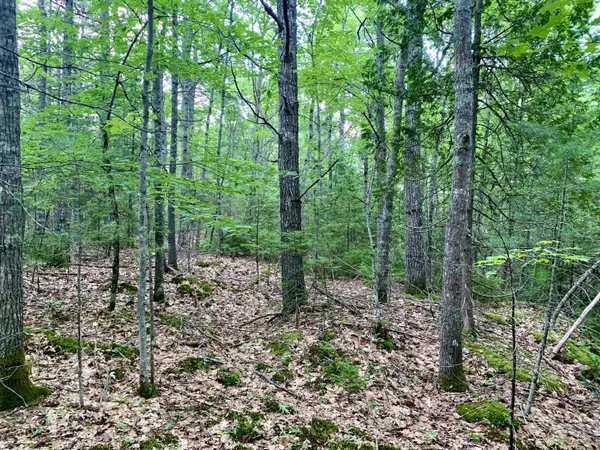 Orrington, ME 04474,0 Hoxie Hill RD