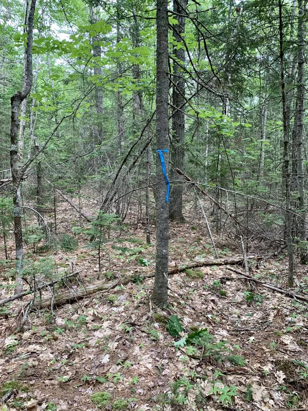 Orrington, ME 04474,0 Hoxie Hill RD