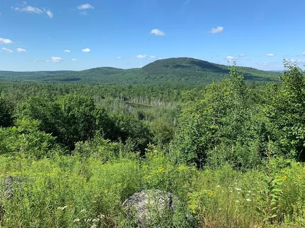 Orland, ME 04472,000 Our Camp RD