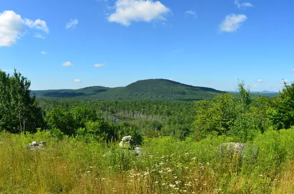 Orland, ME 04472,000 Our Camp RD