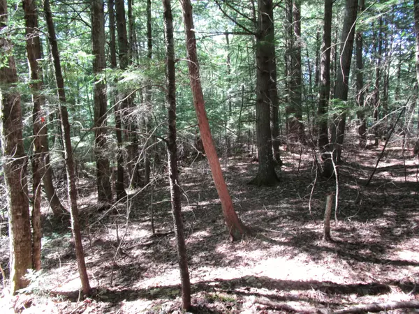 Howland, ME 04448,00 North Howland road