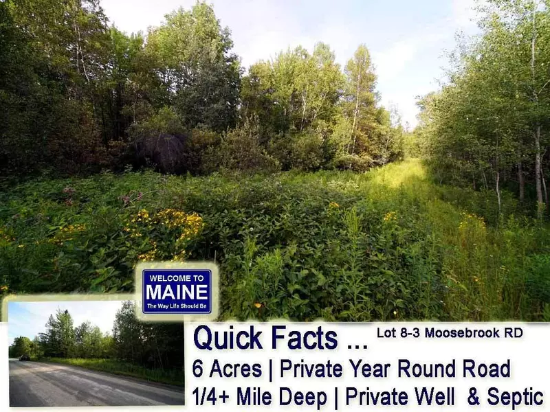 Lot 8.3 Moosebrook RD, Ludlow, ME 04424