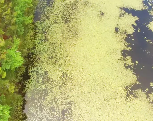 Mount Desert, ME 04660,D Lakeside Road