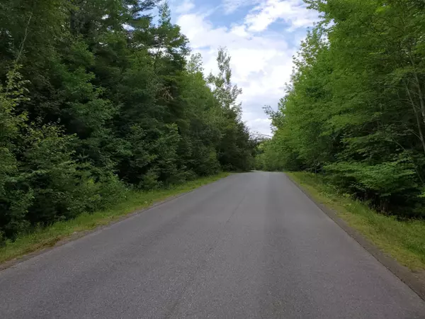 Newburgh, ME 04444,L 4 & 5 Dahlia Farm RD