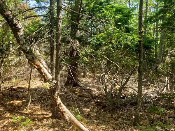 Orrington, ME 04474,0 Hoxie Hill RD