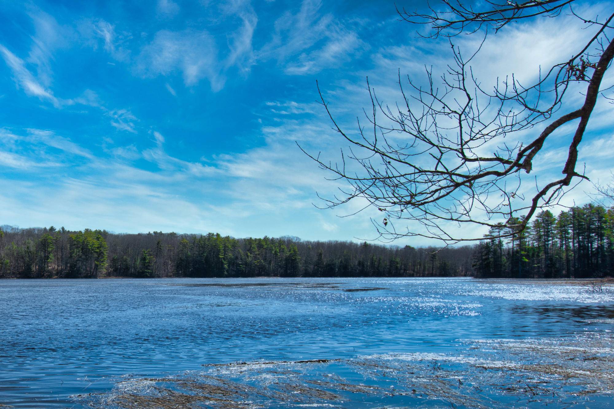 Waldoboro, ME 04572,290 Bremen RD