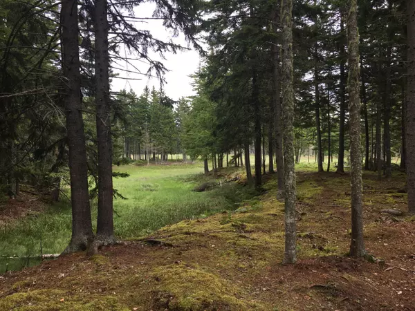 Milbridge, ME 04658,150 Rays Point RD