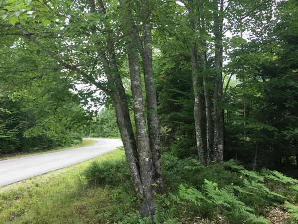 Milbridge, ME 04658,150 Rays Point RD