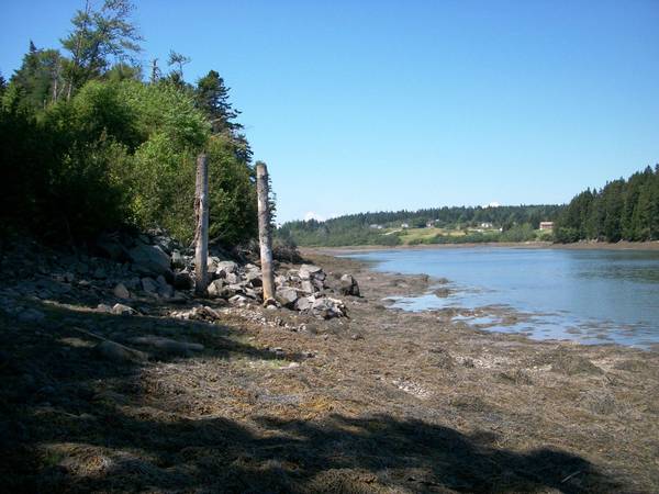 Lot 3 Destiny Bay RD, Cutler, ME 04626