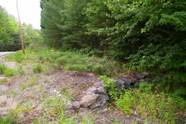 Stow, ME 04037,Lot#1 Fernald Hills Way RD