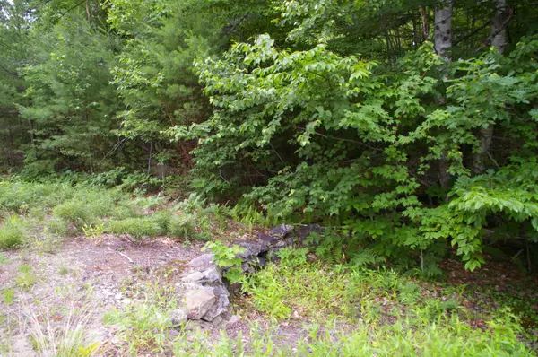 Stow, ME 04037,Lot#1 Fernald Hills Way RD