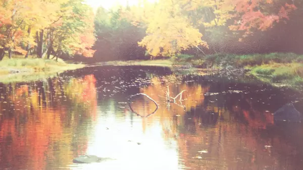 Searsmont, ME 04973,00 Appleton Ridge Rd RD