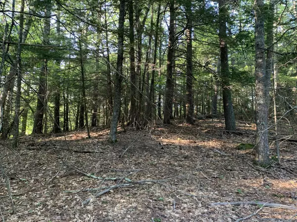 Orland, ME 04472,0 Dunbars RD