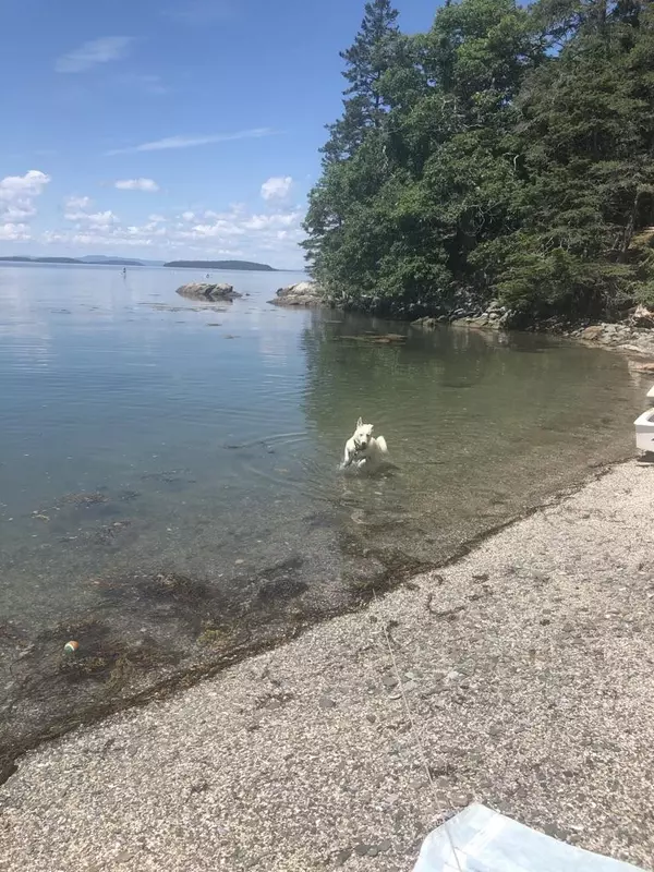 Deer Isle, ME 04627,203 Dow RD