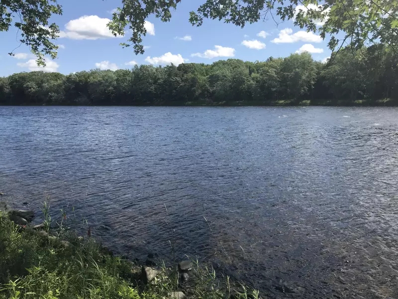 Lot 4.2 Mattamiscontis RD, Mattamiscontis Twp, ME 04457