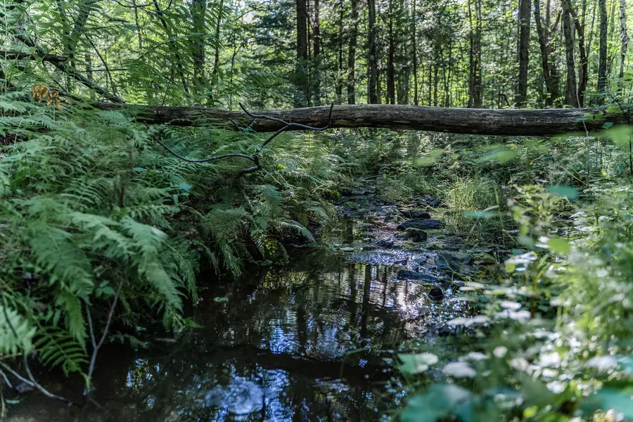 0 Ferrin RD, Litchfield, ME 04350