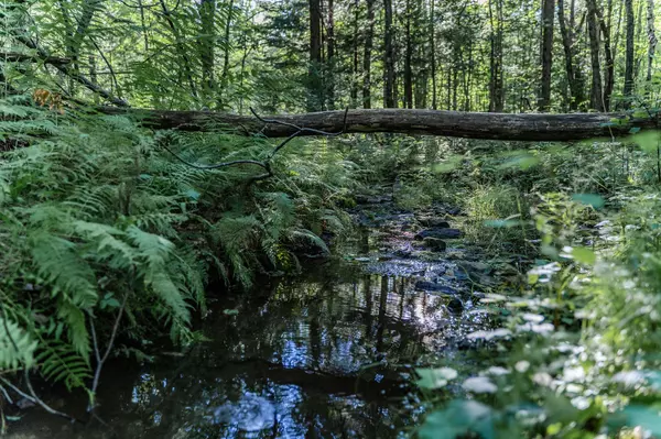 0 Ferrin RD, Litchfield, ME 04350