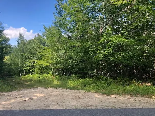Sumner, ME 04292,377B Redding RD