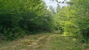 Sumner, ME 04292,377B Redding RD