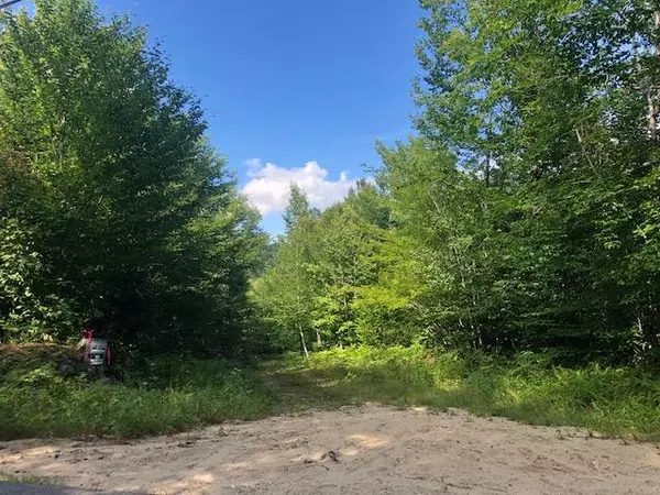 Sumner, ME 04292,377B Redding RD