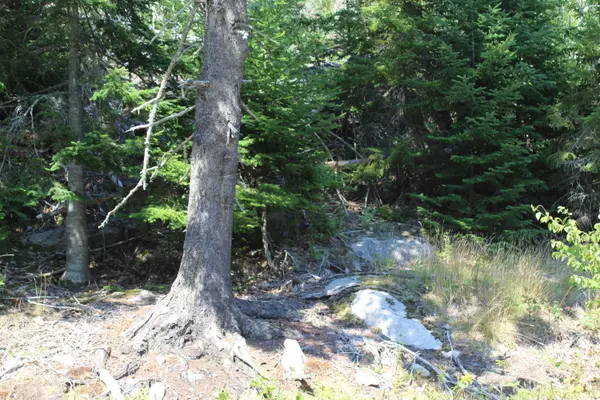 Deer Isle, ME 04627,22 Warren Point DR #Lot 1