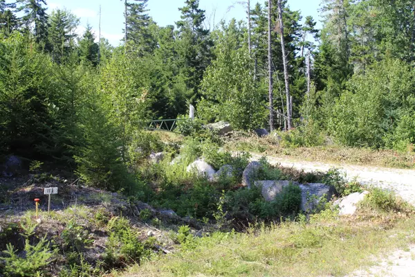 Deer Isle, ME 04627,22 Warren Point DR #Lot 1