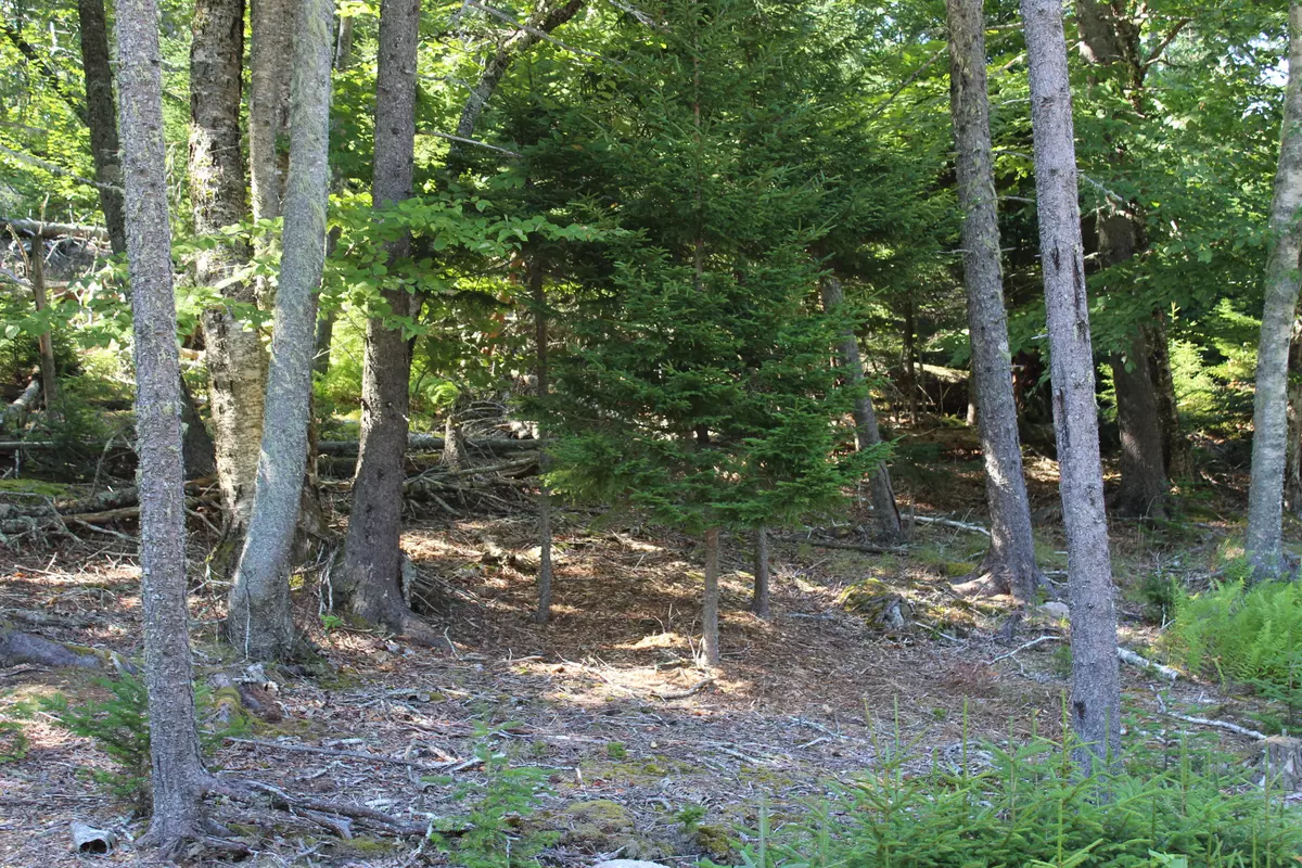 Deer Isle, ME 04627,22 Warren Point DR #Lot 11