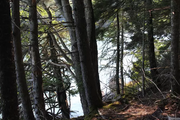 Deer Isle, ME 04627,22 Warren Point DR #Lot 5