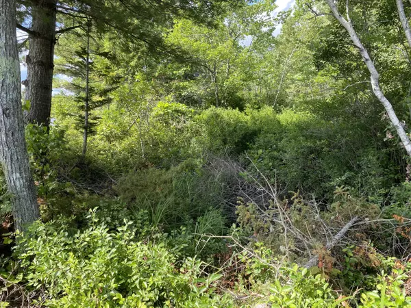 Old Town, ME 04468,Lot 12 Lakeside LN