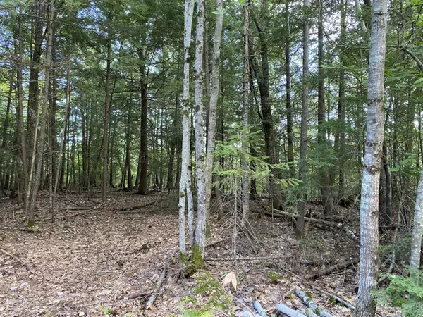 Old Town, ME 04468,Lot 12 Lakeside LN