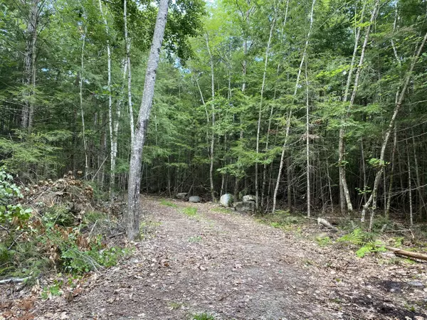 Old Town, ME 04468,Lot 12 Lakeside LN