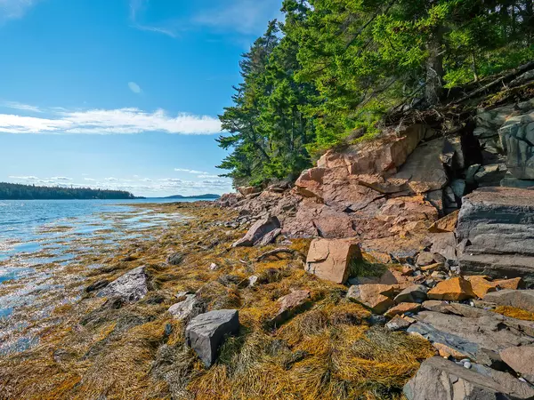 Gouldsboro, ME 04607,0 Deane Point RD