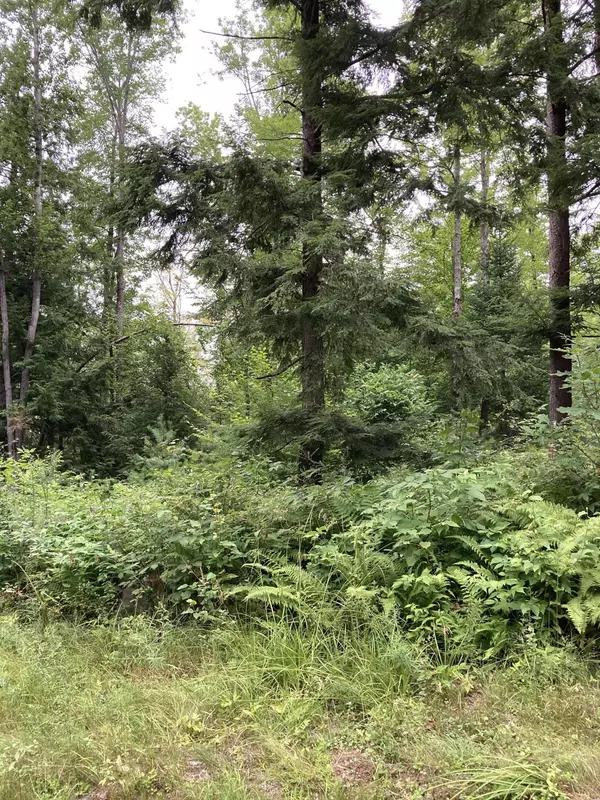 Porter, ME 04068,0 Moses Chapman RD