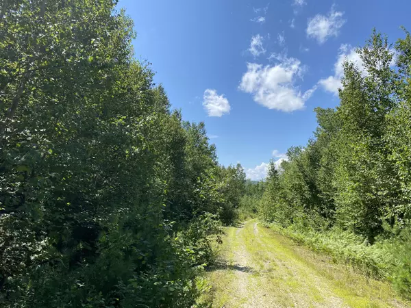 Otis, ME 04605,Lot 18 Cosgrove DR