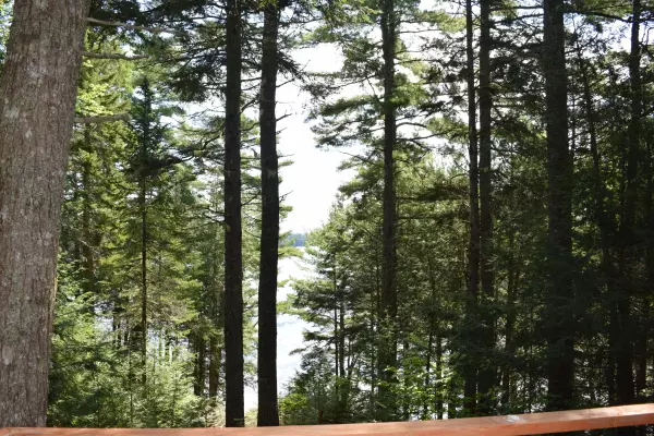 Beddington, ME 04622,41 Ridge LN