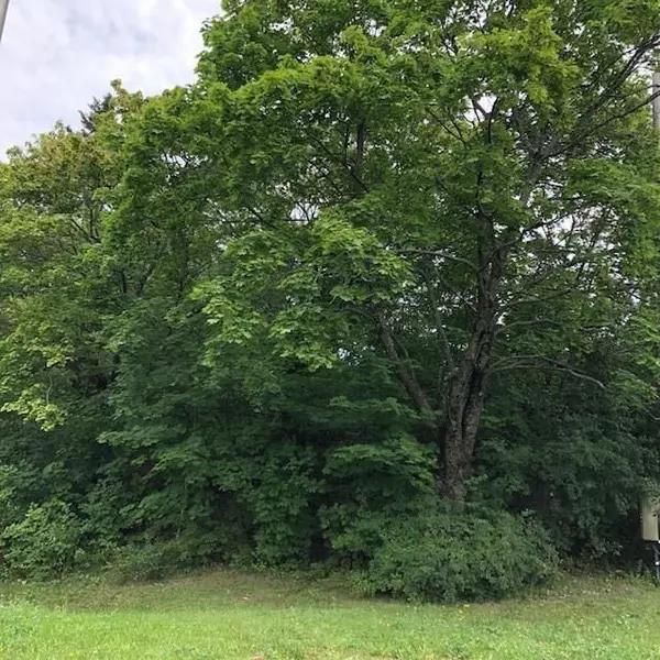 0 Bobcat Road, Clifton, ME 04428