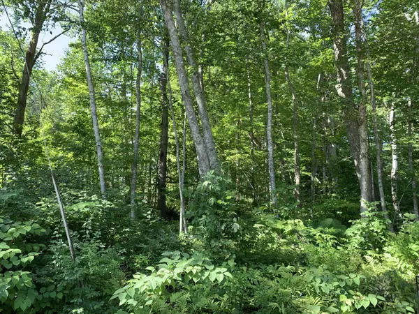 0 George ST, Northport, ME 04849