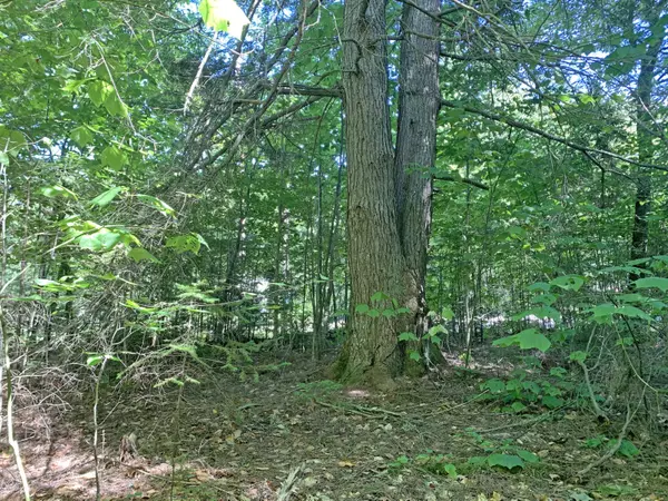 Ellsworth, ME 04605,Lot 4-10 Nicolin Road