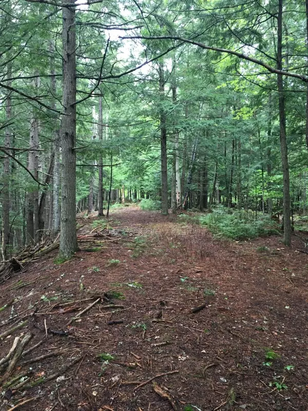 Maxfield, ME 04453,TBD River RD