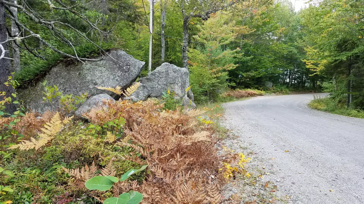 Ellsworth, ME 04605,0 Sargent DR