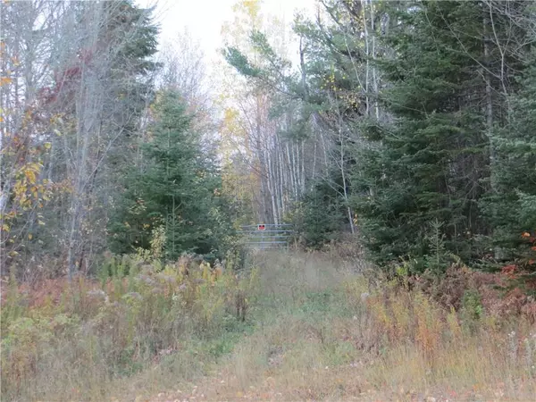 Wallagrass, ME 04781,00 Clark Brook RD