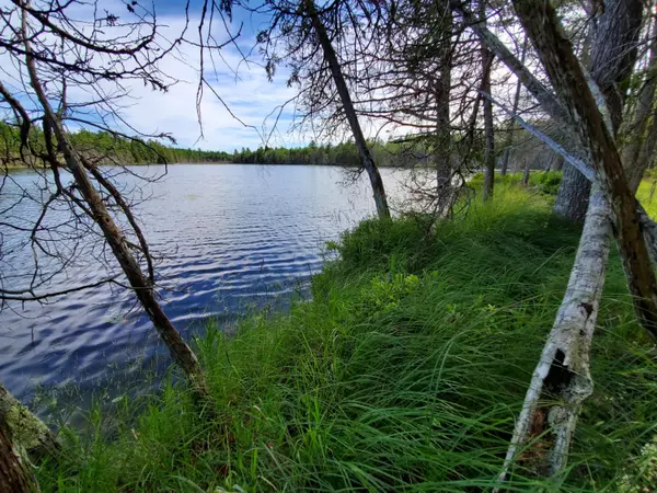 Great Pond, ME 04408,Lot 1 North Little Pond RD