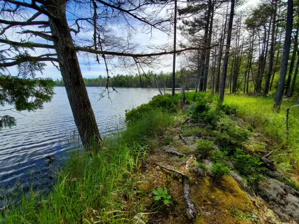 Great Pond, ME 04408,Lot 1 North Little Pond RD