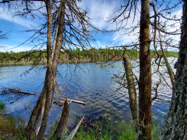 Great Pond, ME 04408,Lot 1 North Little Pond RD