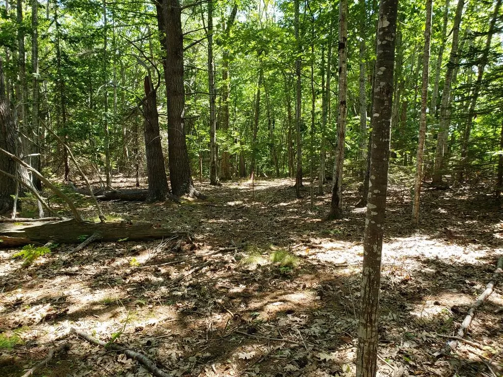 Bar Harbor, ME 04609,0 Cromwell Harbor RD