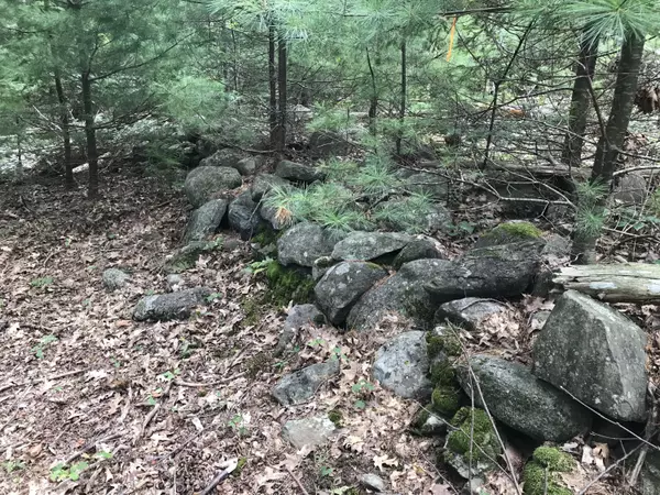 Northport, ME 04849,Lot21-1 Bluff RD